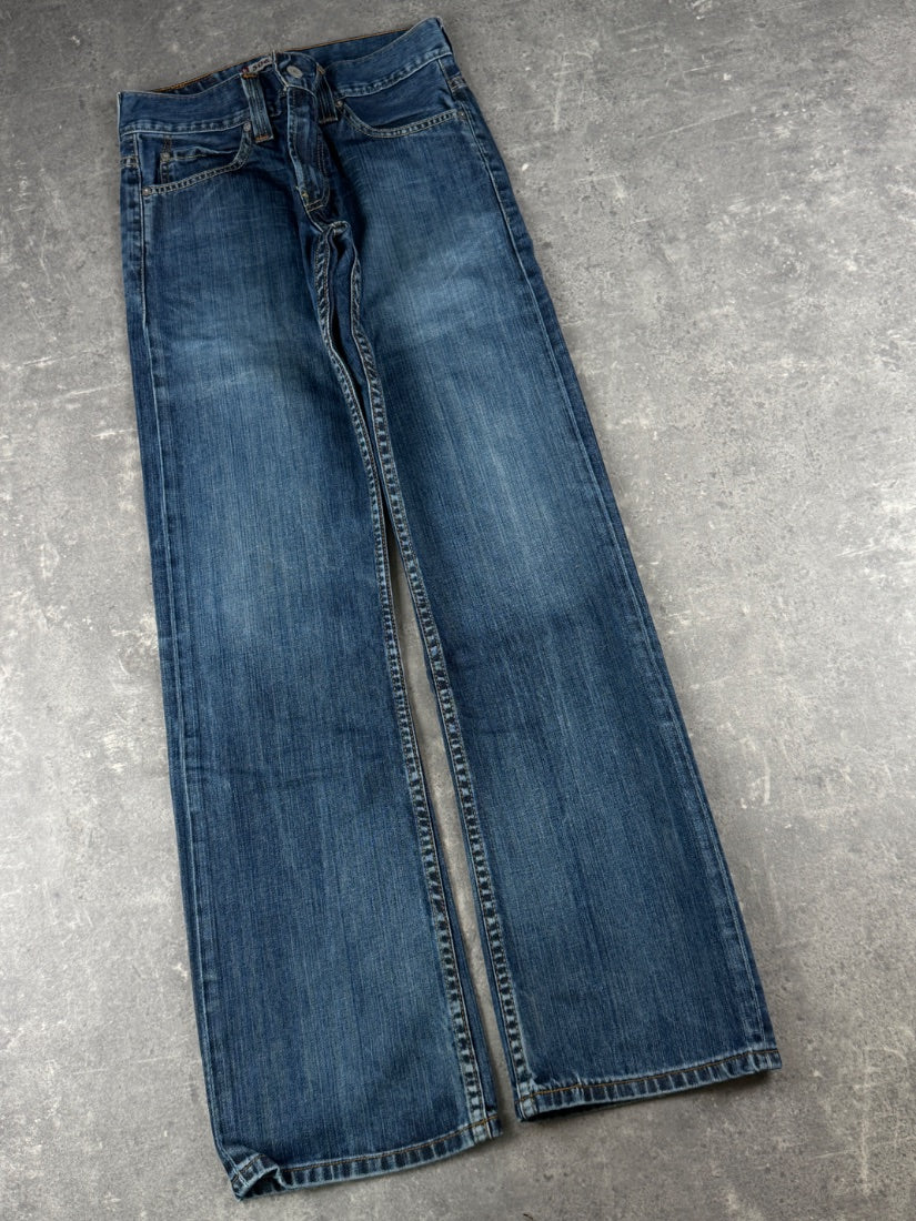 Levi's Jeans (W28/L32)