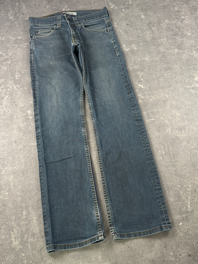 Levi's Jeans (W28/L32)