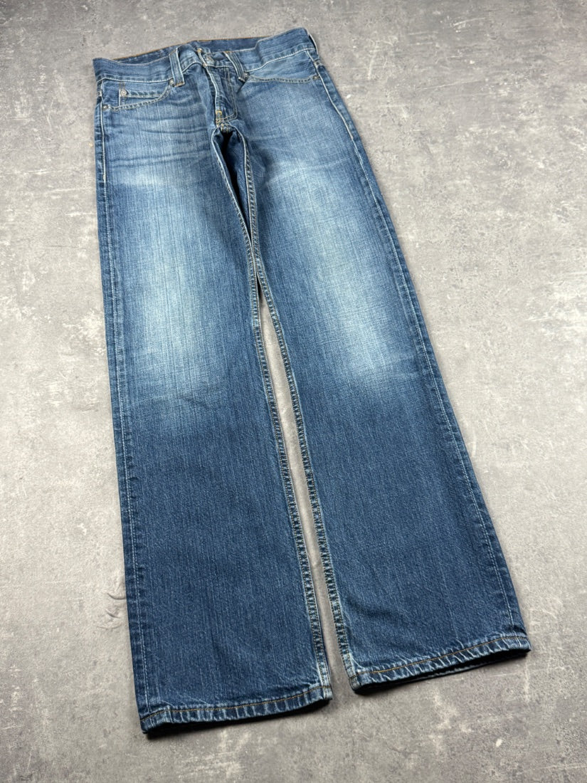 Levi's Jeans (W30/L34)