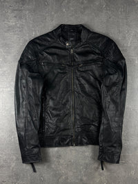 Leatherjacket Gipsy (M)