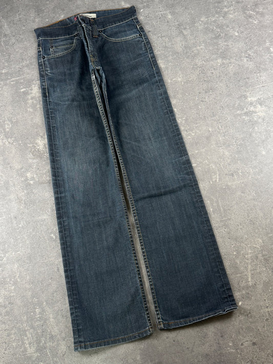 Levi's Jeans (W28/L32)
