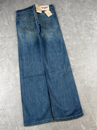 Levi's Jeans (W29/L32)
