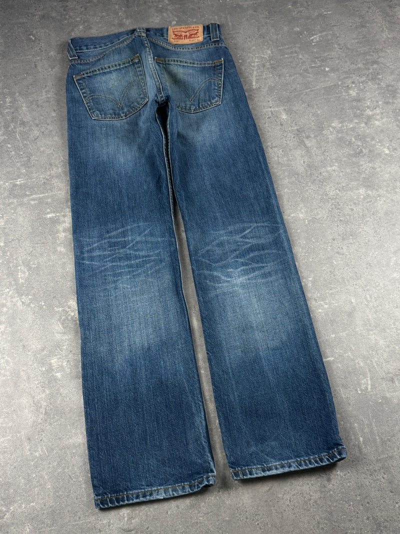 Levi's Jeans (W28/L32)