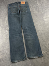 Levi's Jeans (W32/L34)