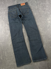 Levi's Jeans (W28/L32)