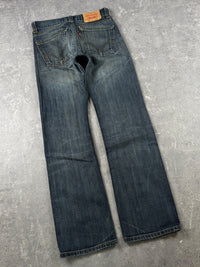 Levi's Jeans (W28/L32)