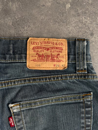 Levi's Jeans (W28/L32)