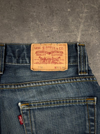 Levi's Jeans (W30/L32)